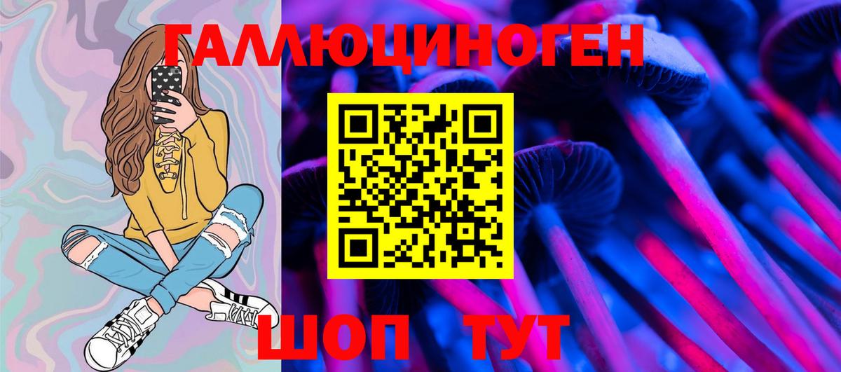 Жигулёвск  Галлюциногенные грибы GOLDEN TEACHER  что такое   Вход с VPN  Галлюциногенные грибы Psilocybe 
